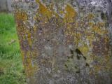 image of grave number 899311